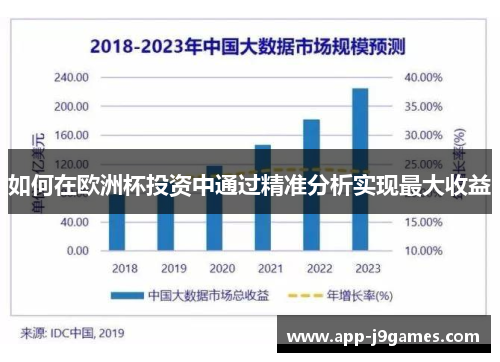 如何在欧洲杯投资中通过精准分析实现最大收益