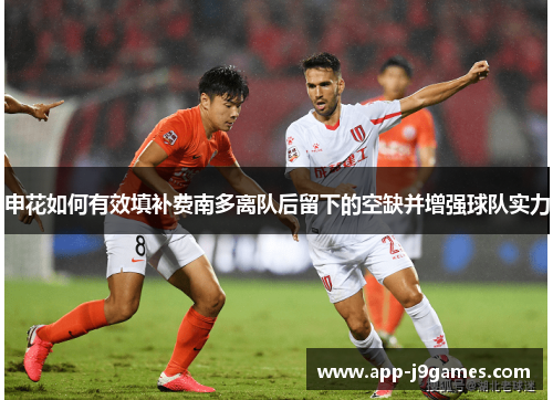 申花如何有效填补费南多离队后留下的空缺并增强球队实力